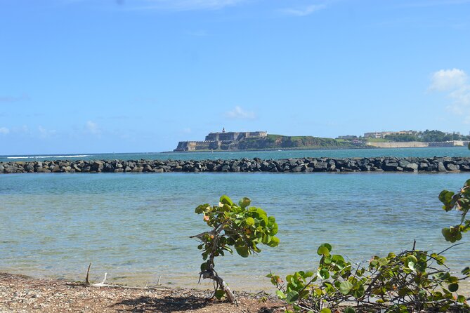 Half-Day Center of Puerto Rico Cultural Tour - Group Size, Comfort, and Pace