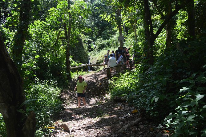 Half-Day Center of Puerto Rico Cultural Tour - Booking Details and Timing