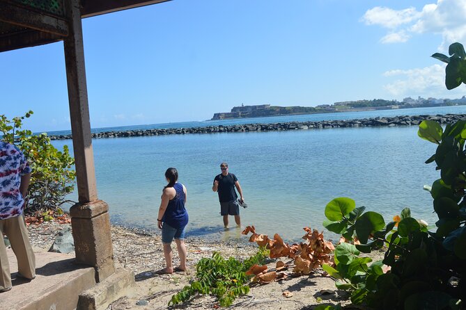 Half-Day Center of Puerto Rico Cultural Tour - The Climb Into Puerto Rico’s Central Mountains