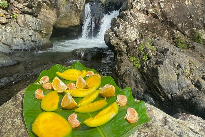 Half-Day El Yunque and Waterslides Adventure from Fajardo - How the $74.99 price holds up
