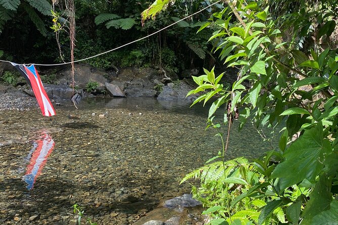 Half-Day El Yunque and Waterslides Adventure from Fajardo - The guide can shape the whole experience