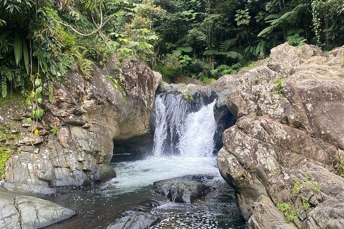 Half-Day El Yunque and Waterslides Adventure from Fajardo - Meeting in Fajardo means freedom, with one important catch