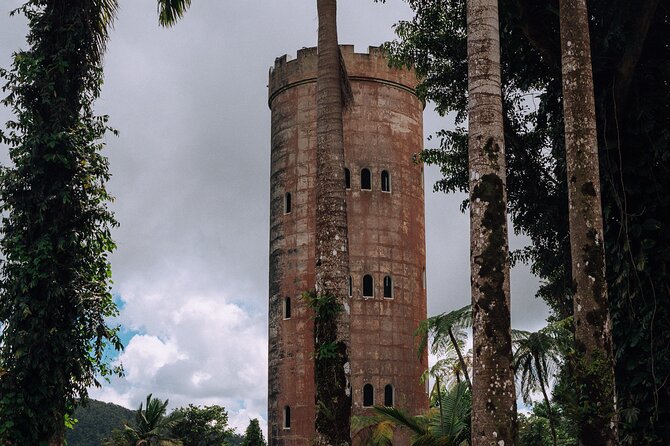 Half-Day El Yunque National Forest Tour from San Juan - Why El Yunque works well as a half-day trip