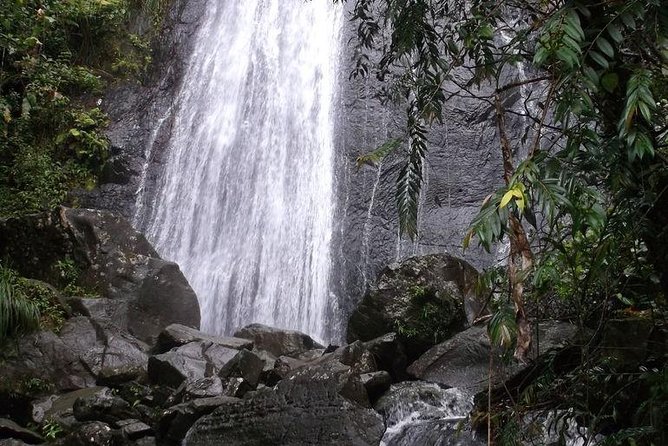 Half-Day El Yunque National Forest Tour from San Juan - Yokahu Tower and the eastern coast view