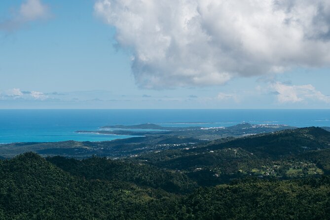 Half-Day El Yunque National Forest Tour from San Juan - The nature walk: plants, rain, and a slower pace