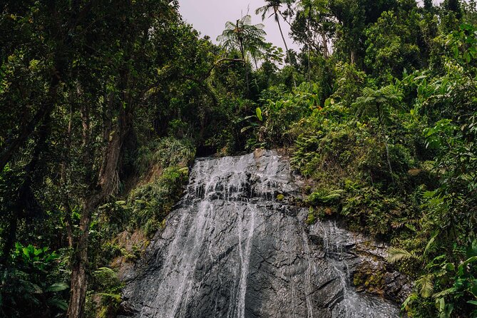 Half-Day El Yunque National Forest Tour from San Juan - Who should book this El Yunque tour?