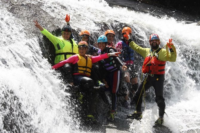Half-Day El Yunque Rainforest Wilderness Adventure - Quick take: what makes this tour special