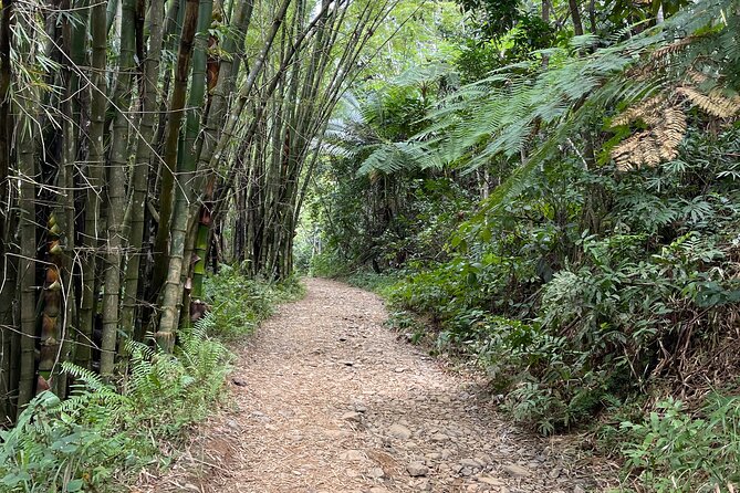 Half Day El Yunque Tour, Waterslide and Rope Swing - Who should book this rainforest outing?