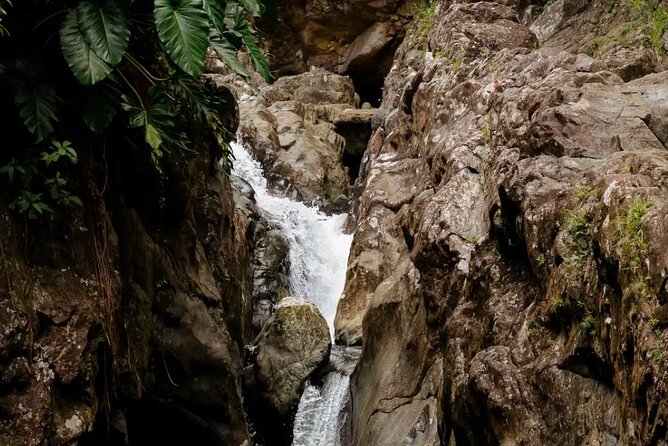 Half-Day El Yunque Waterslide Excursion (no Transportation) - Getting there without included transportation