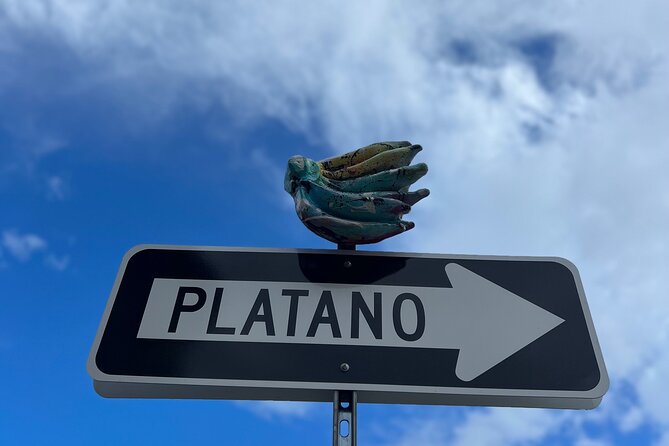 Half-Day: Old San Juan, Calle Cerra,Santurce, La Placita & Loíza - Vacia Talega Beach and the Coastal Pause