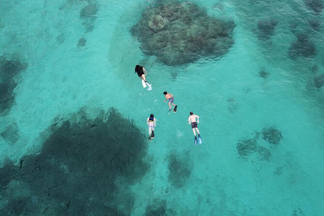 Half-Day Private Boat Experience – Appetizers & Drinks Included - What makes the night snorkeling unusual