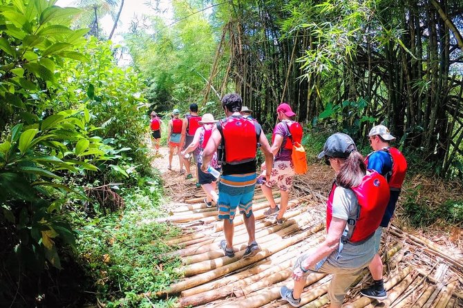 Half-Day: Rainforest and Waterslide Adventure with Transportation - What is included for $105
