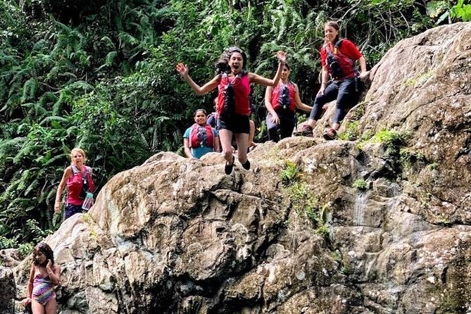 Half-Day: Rainforest and Waterslide Adventure with Transportation - Saturday needs extra attention