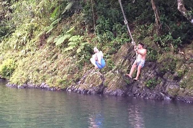 Half-Day Rainforest Tour with Transport from San Juan - Why this half-day trip works from San Juan