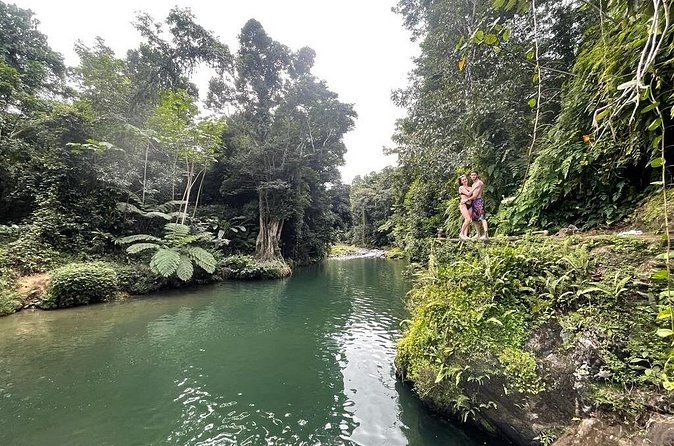 Half-Day Rainforest Tour with Transport from San Juan - The drive into El Yunque’s foothills