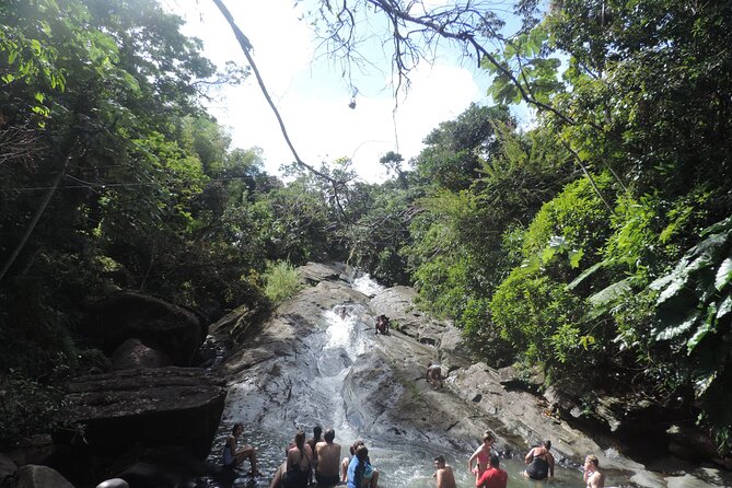 Half-Day Tour: El Yunque, Waterslides, and Luquillo Beach - Who should book this experience