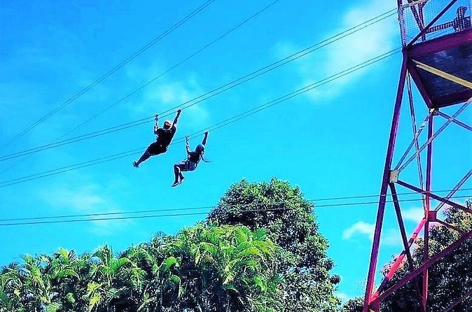 Half Day Tour in Rainforest Zipline Park with Transportation - How much time you really spend on the course