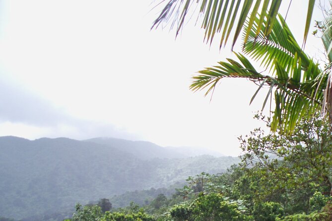 Half Day Tour in Rainforest Zipline Park with Transportation - Who will enjoy this most