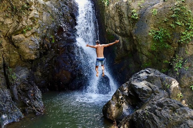 Half-Day Yunque Rainforest Waterslide & rope swing Guided Tour - What guides add to the day