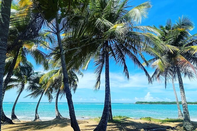 Hidden Fresh Spring of Water+ Cave+ Beach & Food Full Day Tour - Key details at a glance