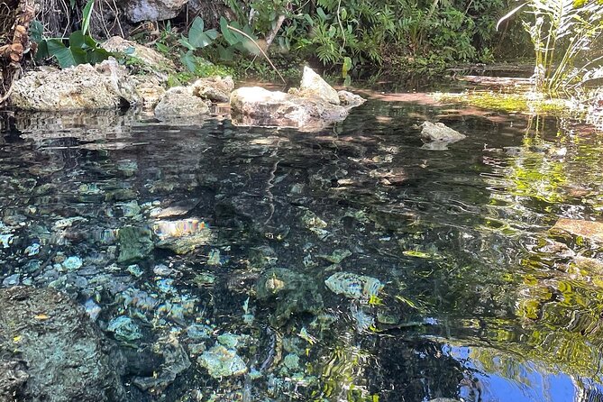 Hidden Fresh Spring of Water+ Cave+ Beach & Food Full Day Tour - Mar Chiquita and the afternoon in the sea
