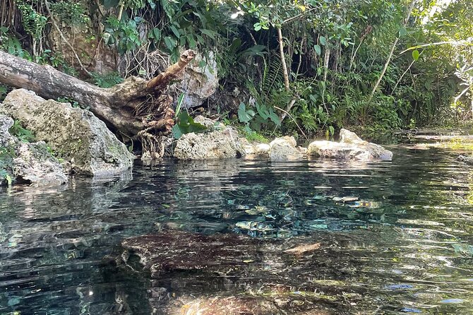 Hidden Fresh Spring of Water+ Cave+ Beach & Food Full Day Tour - Guides, group size, and the feel of the day