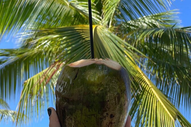 Hidden Fresh Spring of Water+ Cave+ Beach & Food Full Day Tour - The cave and trail side of the adventure