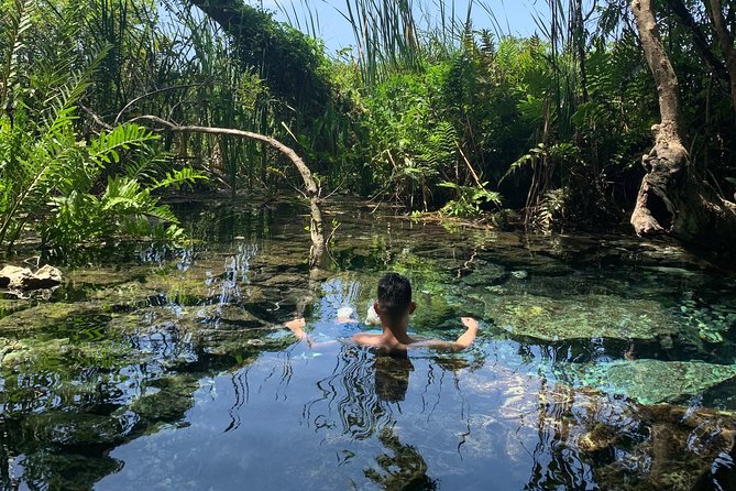 Hidden Gems of the North, Puerto Rico Private Tour - Key Points Before You Book