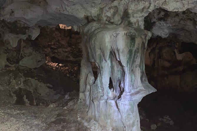 Hidden Gems of the North, Puerto Rico Private Tour - Why the North Coast Makes a Good Half-Day Escape