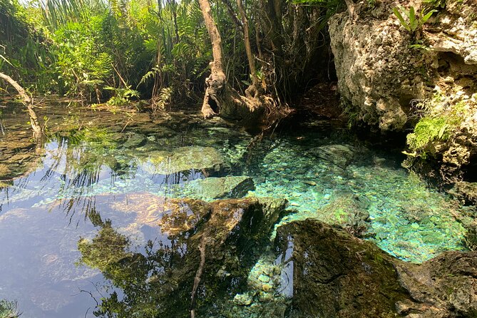 Hidden Gems of the North, Puerto Rico Private Tour - Swimming in a Crystal-Clear Spring