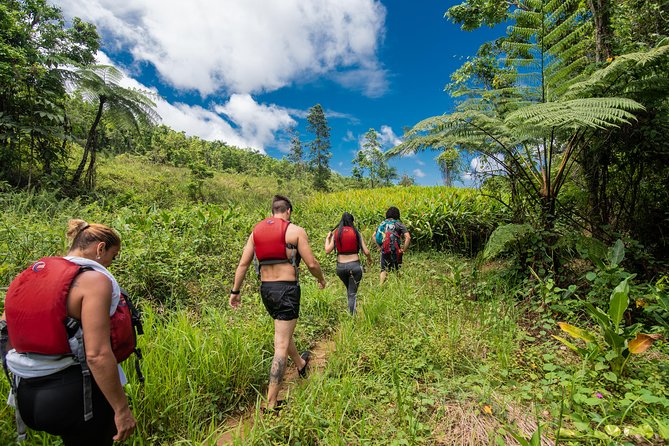 Hike El Yunque Rainforest and Kayak Bio Bay Combo Tour - Key points before you book