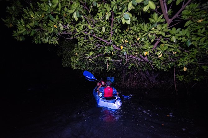 Hike El Yunque Rainforest and Kayak Bio Bay Combo Tour - A very early start from San Juan
