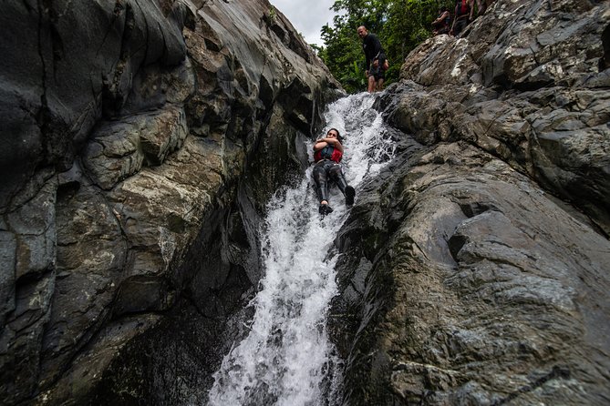 Hike El Yunque Rainforest and Kayak Bio Bay Combo Tour - The rainforest’s strengths and limits