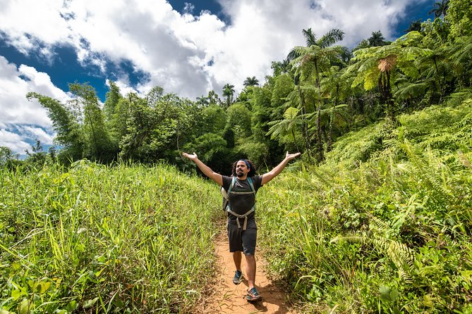 Hike El Yunque Rainforest and Kayak Bio Bay Combo Tour - Lunch and the change of pace