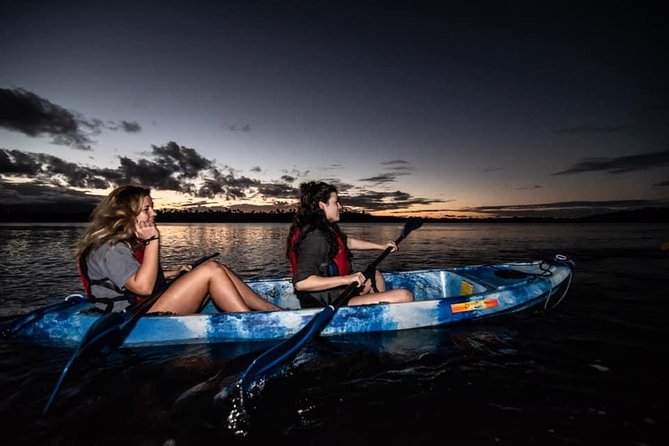 Hike El Yunque Rainforest and Kayak Bio Bay Combo Tour - Paddling through mangroves after dark