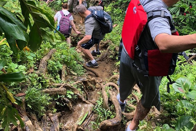 Hike El Yunque Rainforest and Kayak Bio Bay Combo Tour - Keep your expectations realistic about the glow