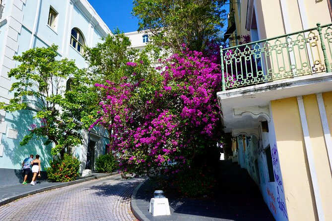 Historical Walking Tour of Old San Juan - Casa Blanca and the earliest Spanish era