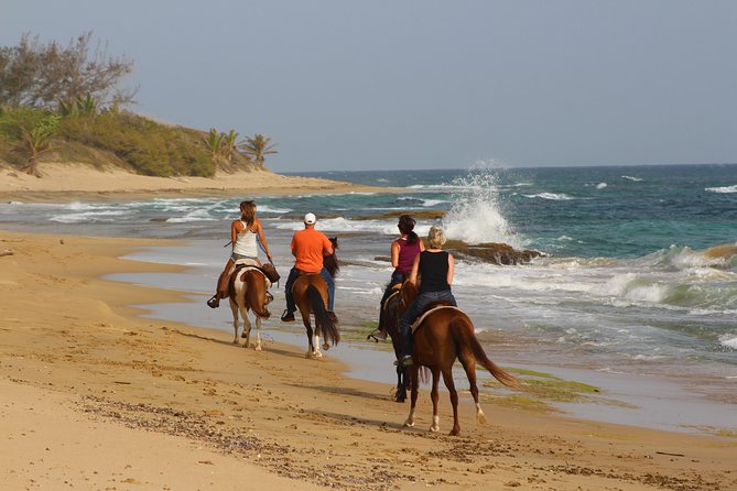 Horseback Riding through Secluded Beaches and Tropical Forests - The Setting: A Ride Near Isabela and Aguadilla
