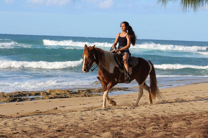 Horseback Riding through Secluded Beaches and Tropical Forests - Shacks Beach: The First Coastal Stop