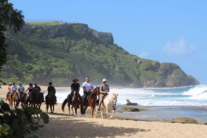 Horseback Riding through Secluded Beaches and Tropical Forests - Survival Beach and the 15-Minute Pause