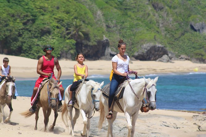 Horseback Riding through Secluded Beaches and Tropical Forests - Forest Trails, Tropical Plants, and Wildlife