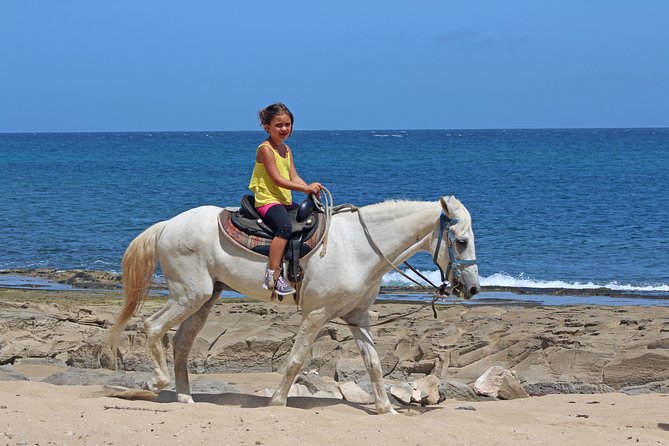 Horseback Riding through Secluded Beaches and Tropical Forests - How Much Is $106.95 Worth?