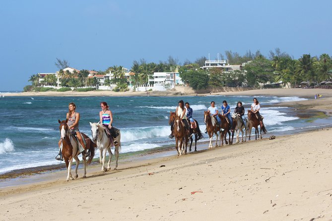 Horseback Riding through Secluded Beaches and Tropical Forests - Heat, Clothing, and Weather Tips