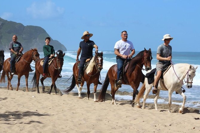 Horseback Riding through Secluded Beaches and Tropical Forests - Who Will Enjoy This Ride Most?