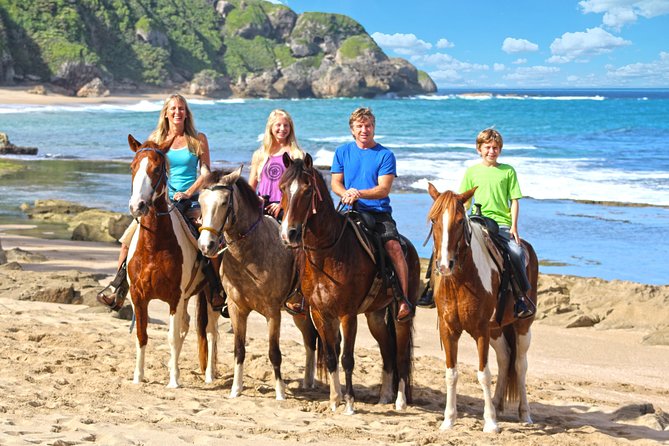 Horseback Riding through Secluded Beaches and Tropical Forests - Getting Comfortable in the Saddle
