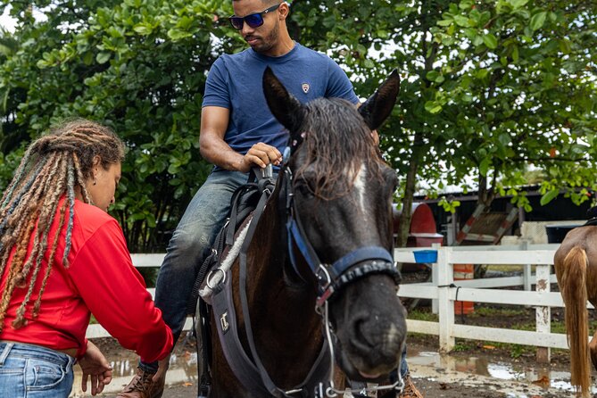 Horseback Riding Tour at Private Ranch - Riding Paso Fino horses through the ranch