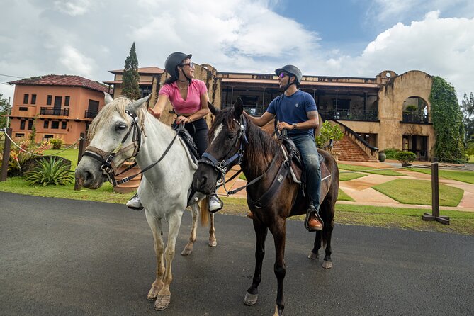 Horseback Riding Tour at Private Ranch - Why the horses matter more than the scenery