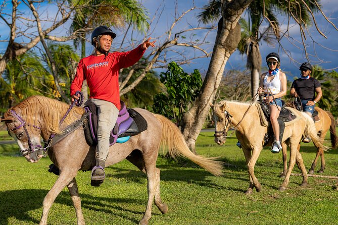 Horseback Riding Tour at Private Ranch - Arriving at Campo Rico without hotel pickup