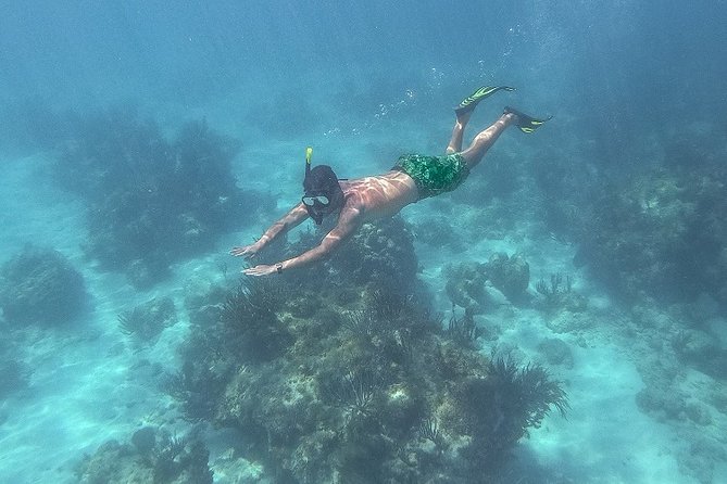 Icacos Deserted Island Catamaran, Snorkel, and Picnic Cruise - Drinks, Music, and the Social Side