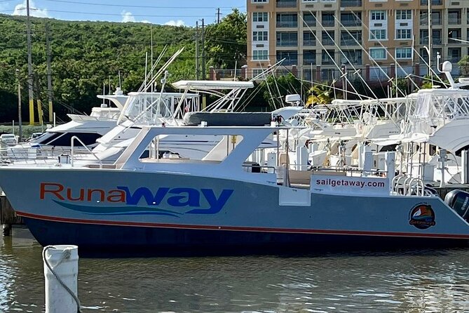Icacos Double Dip Power Catamaran Snorkel & Beach Tour - Should you book the Icacos Double Dip?